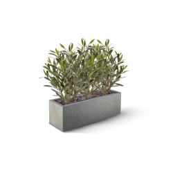 Pianta di Ulivo Artificiale 50cm UV