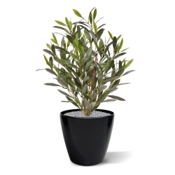 Pianta di Ulivo Artificiale 50cm UV