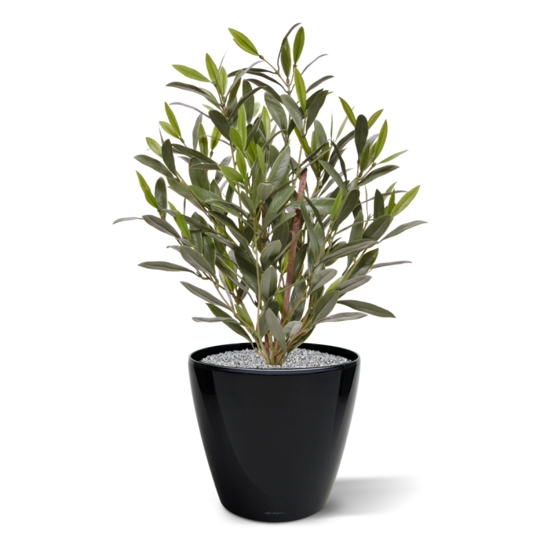 Pianta di Ulivo Artificiale 50cm UV