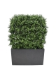 Siepe artificiale di bosso deluxe 80x100cm - resistente ai raggi UV