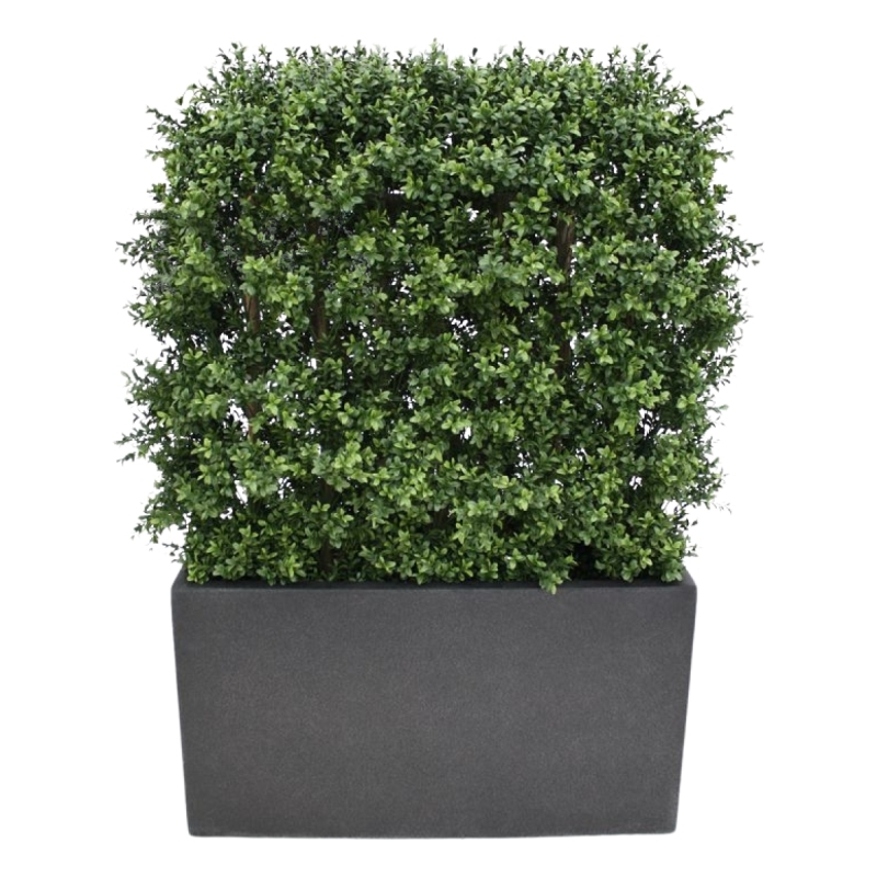 Siepe artificiale di bosso deluxe 80x100cm - resistente ai raggi UV