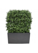 Siepe artificiale di bosso deluxe 80x100cm - resistente ai raggi UV