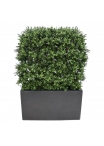 Siepe artificiale di bosso deluxe 80x100cm - resistente ai raggi UV