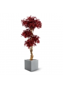 Acer artificiale Bonsai Deluxe 170 cm bordeaux