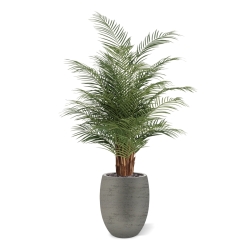 Palma artificiale Phoenix Deluxe 150 cm