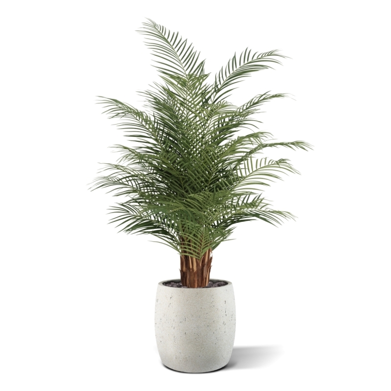 Palma artificiale Phoenix Deluxe 150 cm