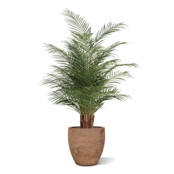 Palma artificiale Phoenix Deluxe 150 cm