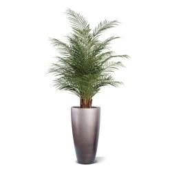 Palma artificiale Phoenix Deluxe 150 cm