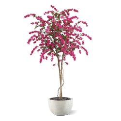 Albero artificiale di bougainvillea Deluxe 300 cm ciliegia