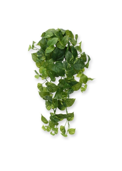 Scindapsus pianta artificiale ricadente 80 cm - RT