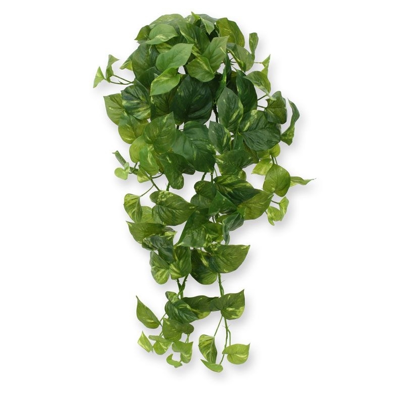 Scindapsus pianta artificiale ricadente 80 cm - RT