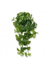 Scindapsus pianta artificiale ricadente 80 cm - RT