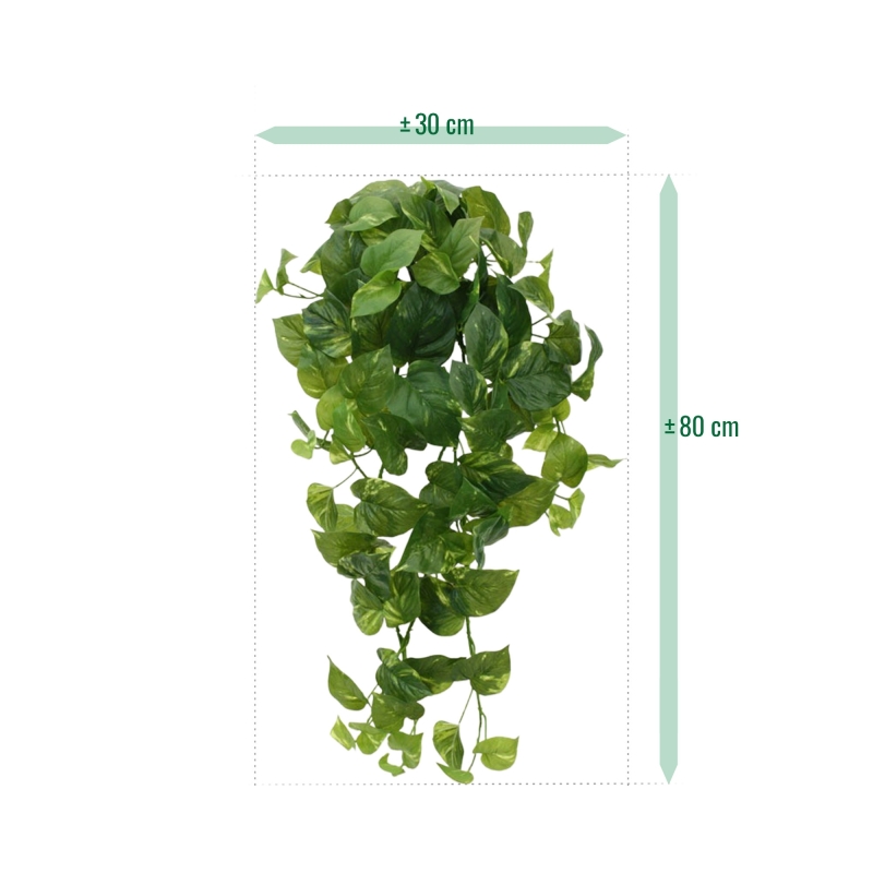 Scindapsus pianta artificiale ricadente 80 cm - RT