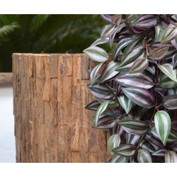 Tradescantia pianta artificiale ricadente 100 cm - viola