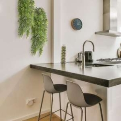 Felce artificiale rampicante 60 cm