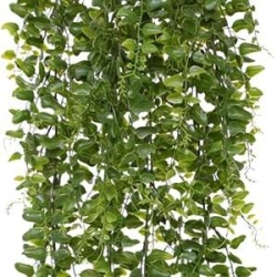 Felce artificiale rampicante 60 cm