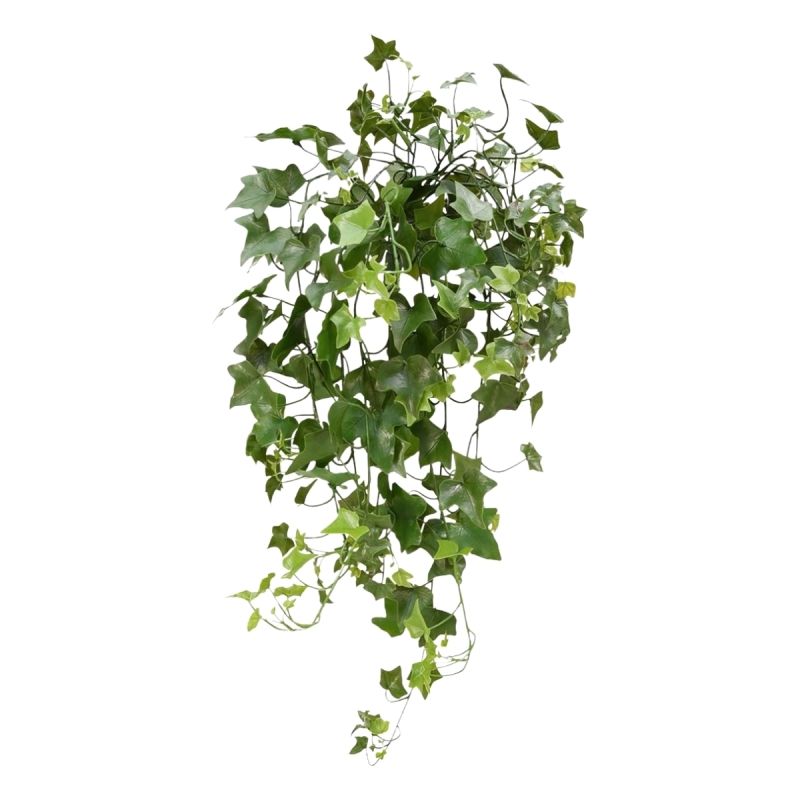 Hedera pianta artificiale ricadente 65 cm - resistente ai raggi UV