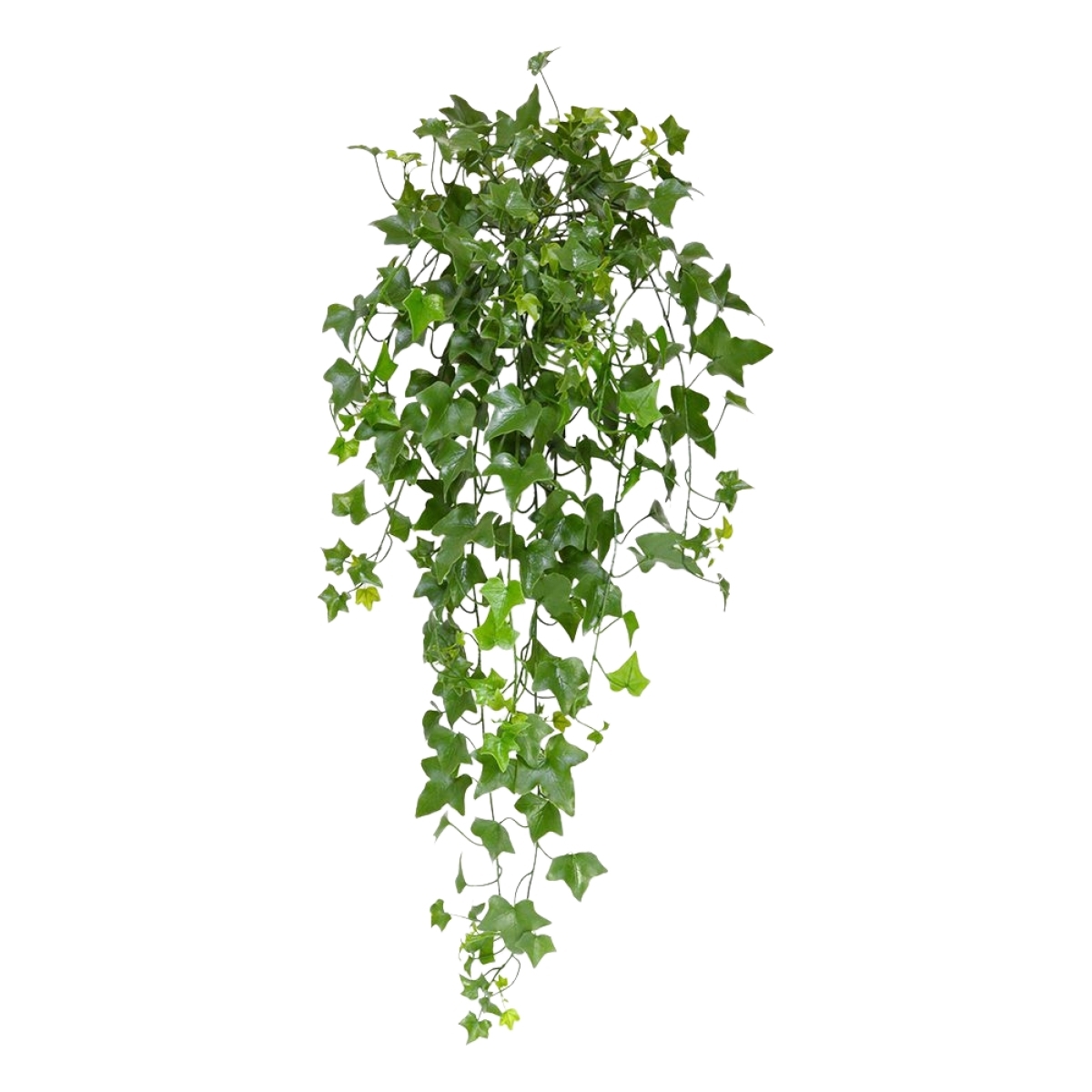 Hedera pianta artificiale ricadente 80 cm - resistente ai raggi UV