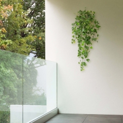 Hedera pianta artificiale ricadente 80 cm - resistente ai raggi UV