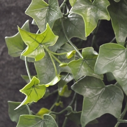 Hedera pianta artificiale ricadente 80 cm - resistente ai raggi UV