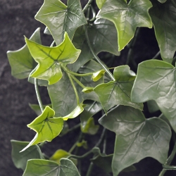 Hedera artificiale da appendere 100 cm - Resistente ai raggi UV