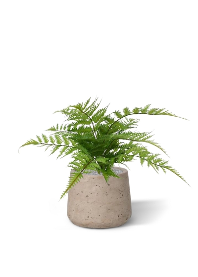 Pianta artificiale di felce Pteris 30 cm