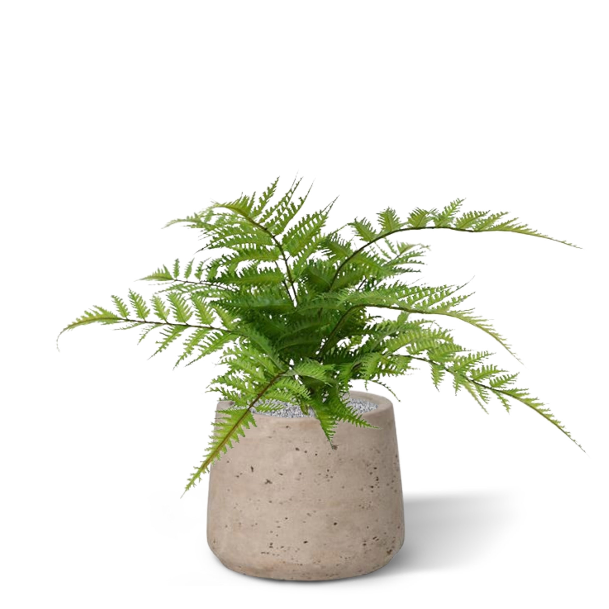 Pianta artificiale di felce Pteris 30 cm
