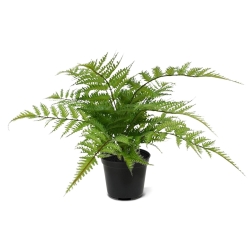 Pianta artificiale di felce Pteris 30 cm