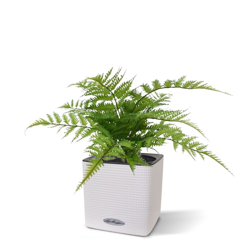 Pianta artificiale di felce Pteris 30 cm