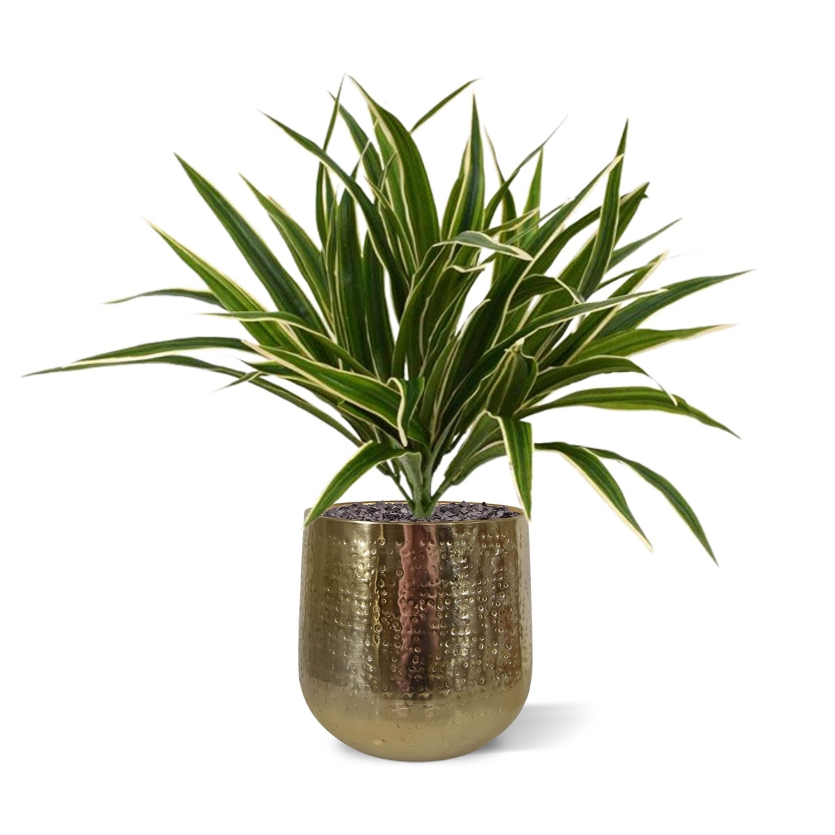 Bouquet artificiale di Chlorophytum S 30 cm