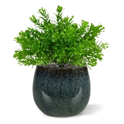 Senecio Muschio pianta artificiale 15cm