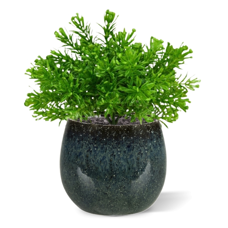 Senecio Muschio pianta artificiale 15cm