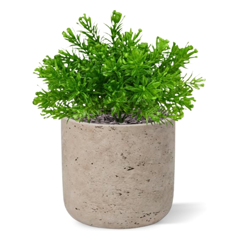 Senecio Muschio pianta artificiale 15cm