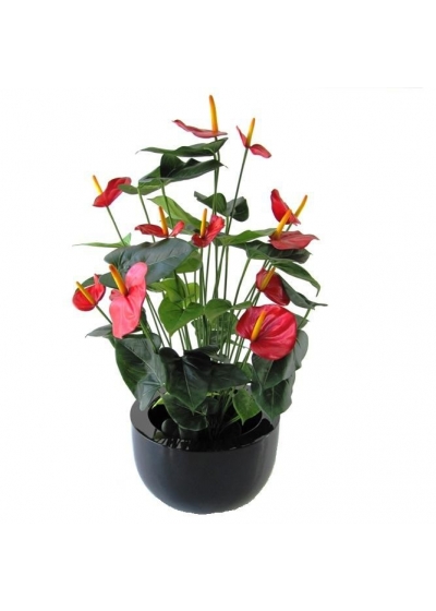Pianta artificiale Anthurium deluxe 80 cm - rosso