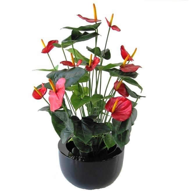 Pianta artificiale Anthurium deluxe 80 cm - rosso