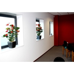 Pianta artificiale Anthurium deluxe 80 cm - rosso