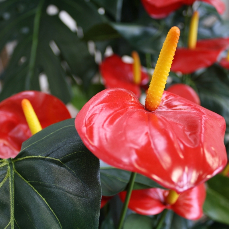 Pianta artificiale Anthurium deluxe 80 cm - rosso