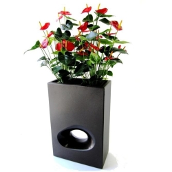 Pianta artificiale Anthurium deluxe 80 cm - rosso