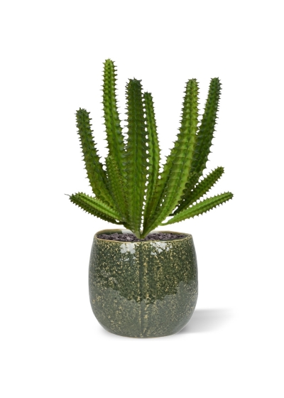 Bouquet di mini cactus artificiali Euphorbia 20 cm