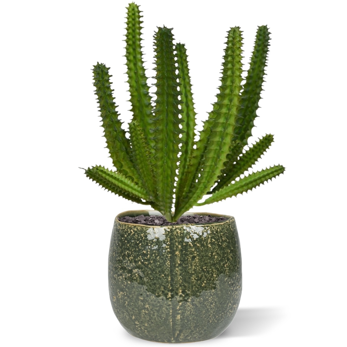 Bouquet di mini cactus artificiali Euphorbia 20 cm