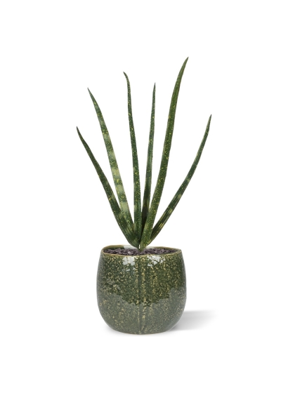 Bouquet artificiale di mini Sanseveria Cylindrica 20 cm