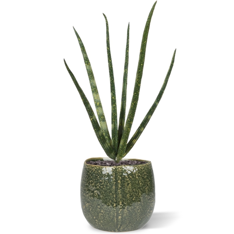 Bouquet artificiale di mini Sanseveria Cylindrica 20 cm