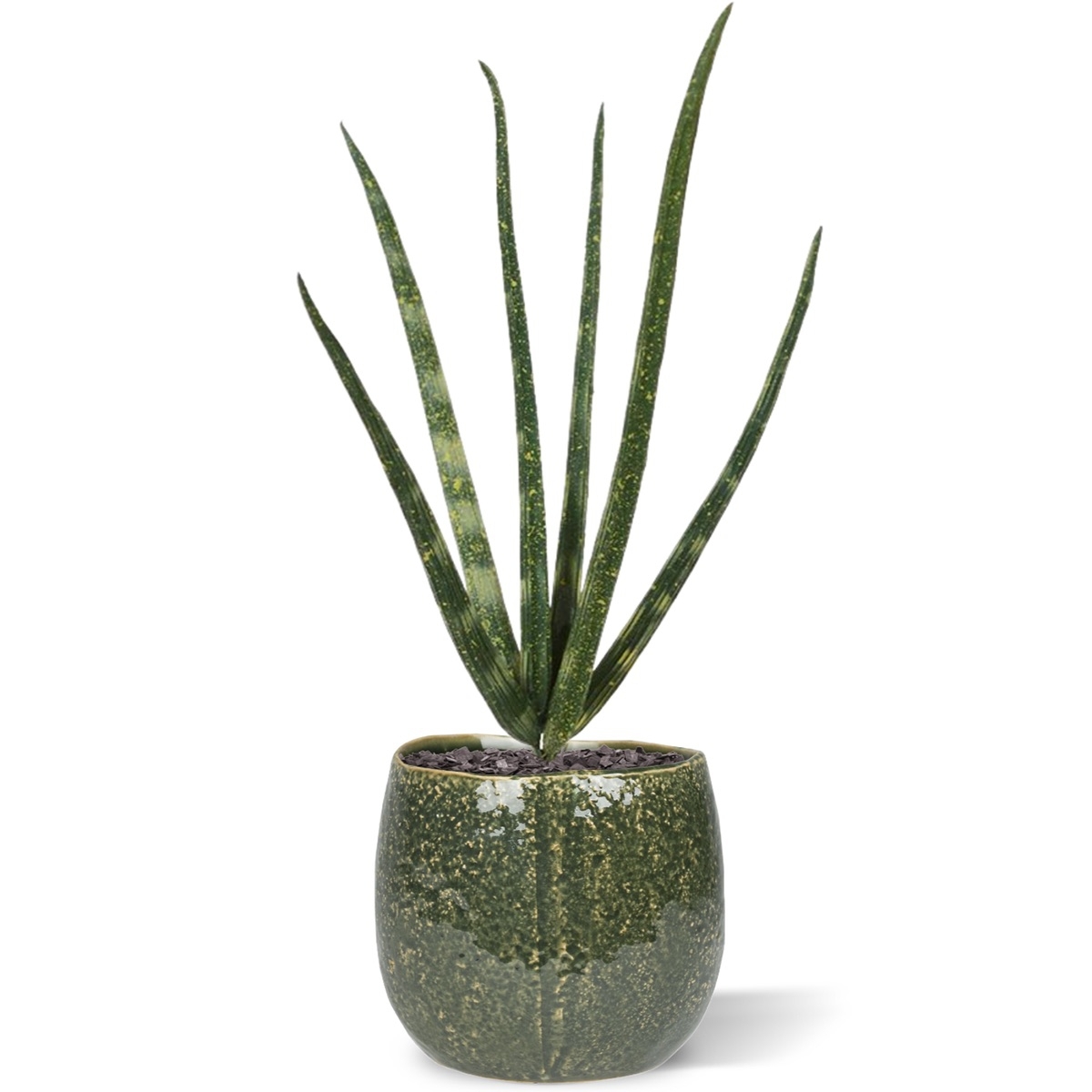 Bouquet artificiale di mini Sanseveria Cylindrica 20 cm