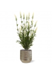 Bouquet artificiale di lavanda 50 cm UV bianco