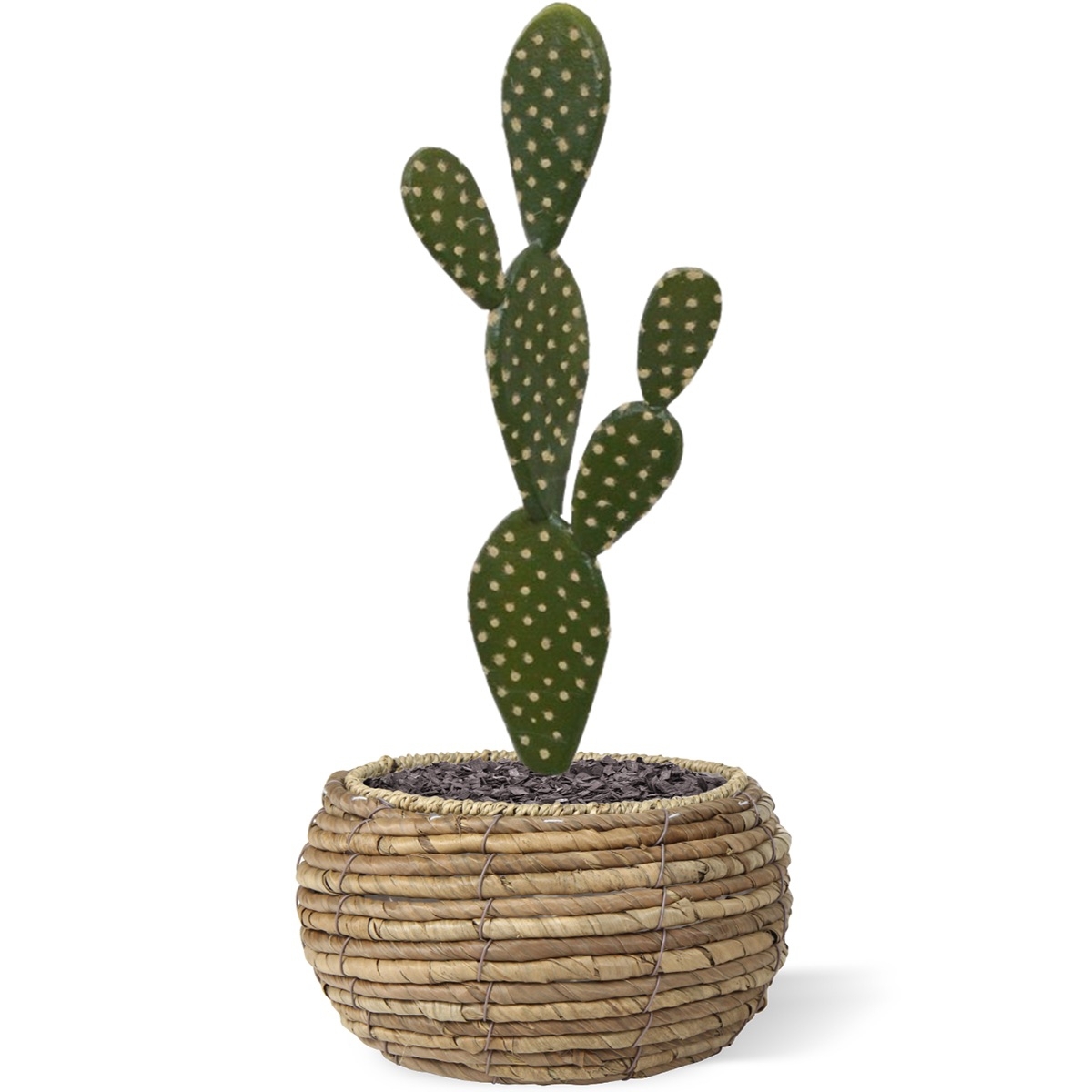 Bouquet artificiale di cactus Opuntia 40 cm