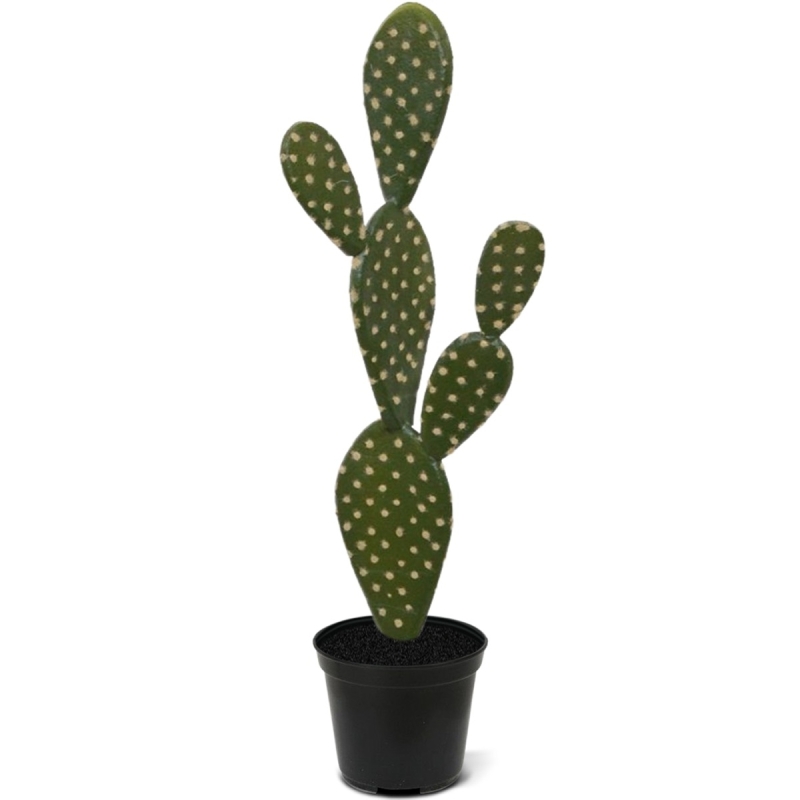 Bouquet artificiale di cactus Opuntia 40 cm