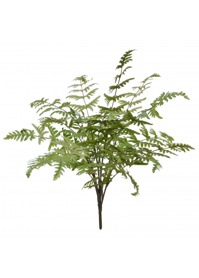 Felce artificiale Pteris Ensiformus 60cm