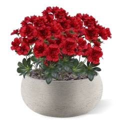 Azalea artificiale 35cm Rosso