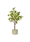 Ficus Natacha artificiale bonsai 60cm verde