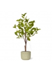 Ficus Natacha artificiale bonsai 60cm verde